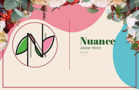 image projet nuance